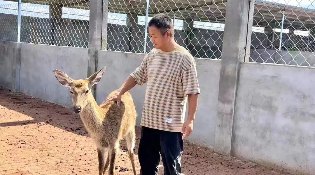 最新捕鱼排行榜